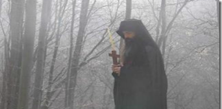 Τίποτα παράνομο