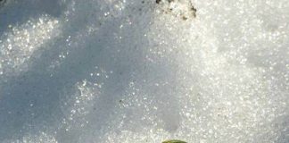 Ἡ θεραπεία τῆς κατάθλιψης εἶναι ὅ,τι ἐξολοθρεύει τόν ἐγωισμό…