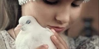 Ο Θεός δεν έπλασε τίποτε κακό…