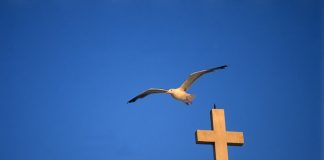 Επειδή εἶναι δύσκολο να φθάσουμε ἀπ’ εὐθείας στη μεγάλη ὁμολογία και στο μαρτύριο, ἂς ἀρχίσουμε με μικρές ὁμολογίες