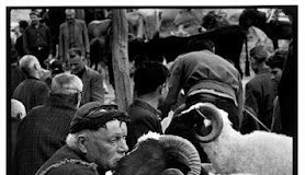 Τα καινούργια παπούτσια…