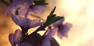 Ἀλίμονό σου ἄν μείνεις ἄνθρωπος… φρόντισε νά γίνεις Χριστιανός