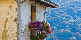 Η εμπιστοσύνη στον πνευματικό