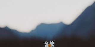 Μετάνοια για τις σαρκικές αμαρτίες – π. Συμεών Κραγιόπουλος (†)