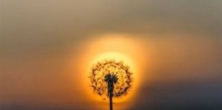 Τι σημαίνει έλεος;