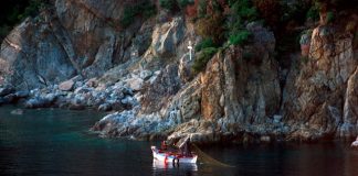 Τι κάνει η παρακοή