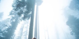 Να το αντίδοτο του πολλού ψυχικού πόνου των καιρών μας