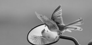 Σημασία έχει τι λέει ο Θεός. Ο Θεός βλέπει τον κόπο και τον μόχθο σου – Γέροντος Αιμιλιανού Σιμωνοπετρίτου