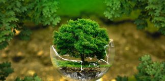 Συχνά πλανιόμαστε, όταν πιστεύουμε ότι είμαστε υπομονετικοί και πράοι – Αββά Κασσιανού