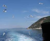 Να χαίρεσαι και να χαίρεσαι και να χαίρεσαι – π. Ανανίας Κουστένης