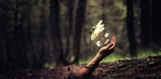 Οι αχάριστοι δεν ικανοποιούνται ποτέ και με τίποτα