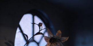 Το κακό μεταδίδεται τόσο εύκολα, όσο μιά κολλητική αρρώστια