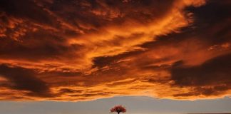 Το παν στον άνθρωπο είναι η θέληση