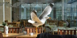 «Νά νηστεύετε παιδιά μου….»