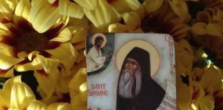 Ψυχή αμαρτωλή,αιχμάλωτη στα πάθη,δεν μπορεί να έχει ειρήνη και χαρά εν Κυρίω… – Όσιος Σιλουανός