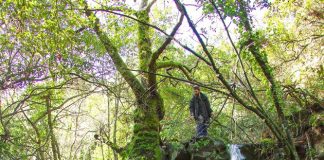 Ο δρόμος των Χριστιανών είναι η κατάβαση και η ανάβαση