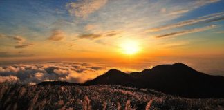 Πριν λάβεις, να ζητάς. Και αφού λάβεις, να ευχαριστείς…