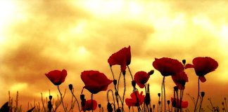 Τους κακούς λογισμούς, παιδί μου, να τους διώκης, διότι ο διάβολος ποτέ δεν θέλει το καλόν του ανθρώπου