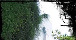 Ο Άγιος σύζυγος της πόρνης