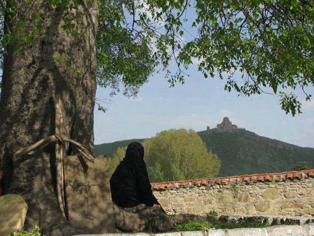 10906420_886727964682261_8245183199078209826_n