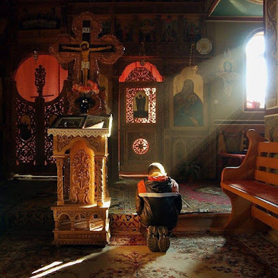 1374939_542797065802500_1025625021_n