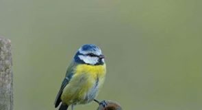 Άν θέλεις να εισακουστεί η προσευχή σου, χρειάζεται και το ανάλογο κλειδί