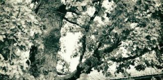 Αυτός που «πλουτίζει από Θεό», λέει ο Χριστός, είναι ο σωστός επενδυτής…