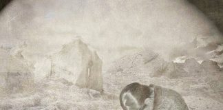 Η άκαιρη λύπη