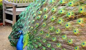 Θα καταστρεφόμουν από την κενοδοξία – Ένα χιουμοριστικό και πολύ διδακτικό απόσπασμα του Μητρ. Λεμεσού Αθανασίου