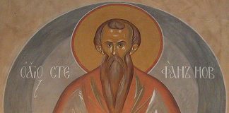Όσιος Στέφανος ο Ομολογητής, ο Νέος, 28 Νοεμβρίου ε.ε.