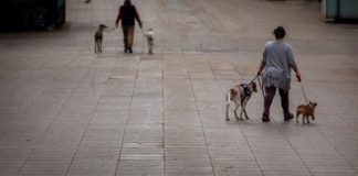 Ανθρώπων και σκύλων… Του Κωνσταντίνου Μπλάθρα