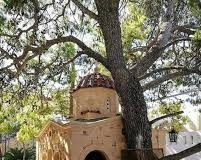 Άγιος Νεκτάριος. Το παράδοξο στον τόπο που θα γινόταν ο τάφος του