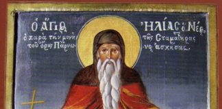 Όσιος Ηλίας ο Νέος εκ Σικελίας, εορτάζει 17 Αυγούστου ε.ε.