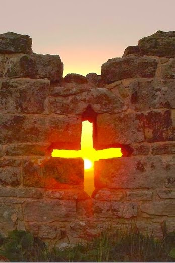 1393933_510697339020047_1543205581_n