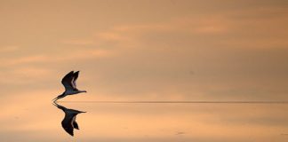 Δεν είναι δεδομένο