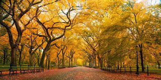 Για να μετανοήσει η ψυχή πρέπει να ξυπνήσει