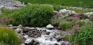 Η αγάπη είναι πάνω απ’ όλα