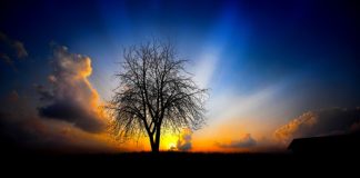 Η συνείδηση και η γνώση του εαυτού μας