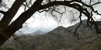 Το θαύμα της θεραπείας ως φανέρωση Θεού