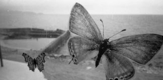 Μόρφωση και ευσέβεια