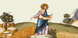 Όλα σε εξαπατούν