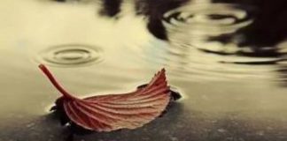 Δεν έχει άλλη επιλογή