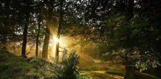 Τι είναι οι «αλλοιώσεις» στην πνευματική ζωή;