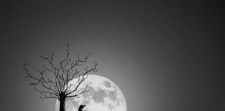 Λάδι και δάκρυ χρειάζονται τα παιδιά μας. Με λάδι και δάκρυ δεν χάνονται ποτέ