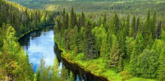 Πώς μπορεί να αποκτήσει κανείς αρετή;