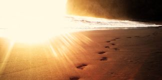 Το Φως που αναζητάς