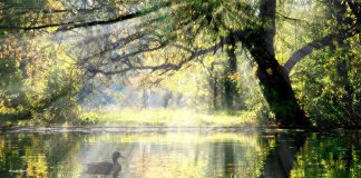 Κάνε το καλό