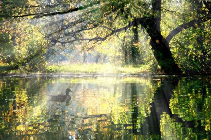 unnamed - 2024-10-03T205028.475