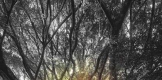 Ν’ ανάψουμε το φως, να φύγουν τα σκοτάδια… (Αγ. Πορφύριος)