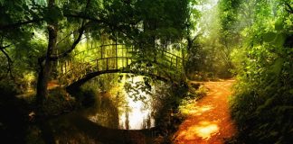 Η Συγχώρεση (μια αληθινή ιστορία)